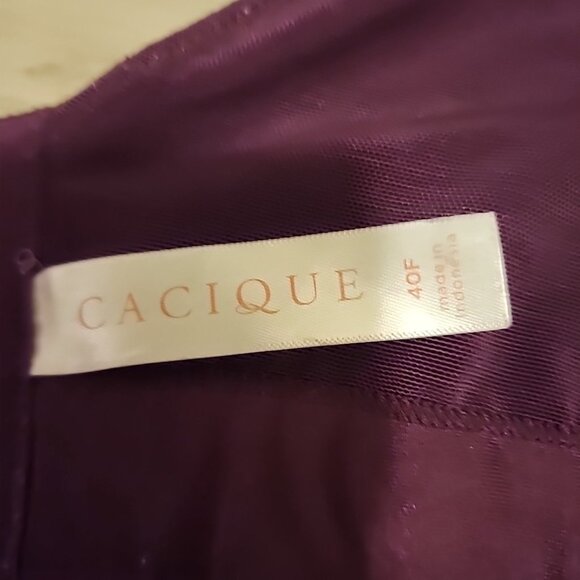 Cacique Lightly Lined Full Coverage Bra 40F Pink Underwire - Picture 3 of 4